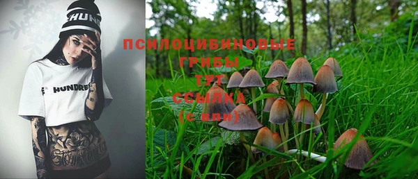 прущий лед Гусь-Хрустальный