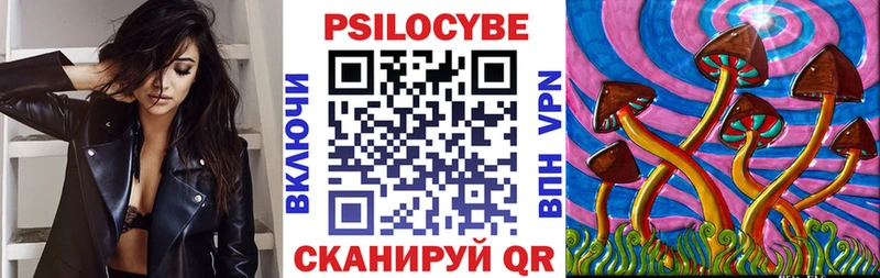 купить наркоту  Балахна  Псилоцибиновые грибы Psilocybe 