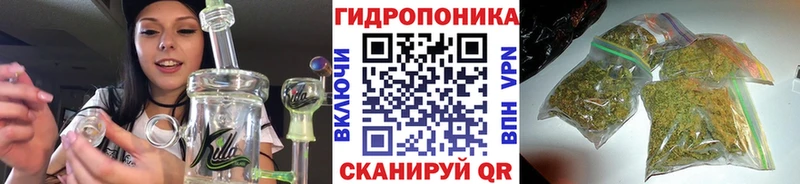 Бошки Шишки Bruce Banner Балахна